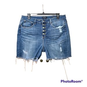 Judy Blue shorts. Button fly. Cut offs. Sz 20W
